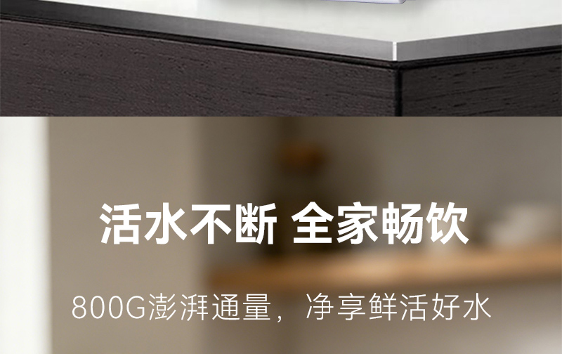 水立洁纯水机,800G纯水机